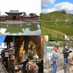 京都から宇治平等院と穴場の茶畑広がる和束町散策経由で奈良東大寺大仏殿ツアー