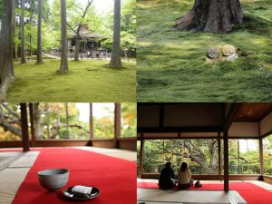 八瀬・大原 三千院 秘められた大原の歴史をさぐる 大原で1200年の歴史を紡ぐ《三千院》柏井 壽さんと巡る、京都